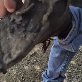 Dolap Kesinlikle Güvenli Alışveriş Sitesi Değil