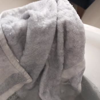 Enza Home Koltuk Boyasının Çıkması