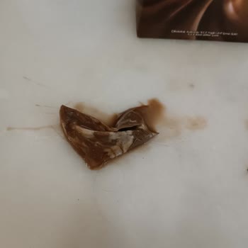 Danone Tikveşli Danette Sıcak Çikolata Lezzeti İçinden Çıkan Madde