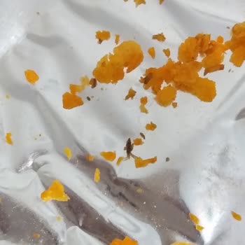 BİM Cipsim De Kavrulmuş Böcek Vardı