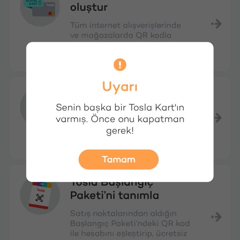 Tosla'ya Giriş Yapa Mıyorum