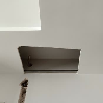 Vestel Halkalı Servisi Beni Mağdur Etti