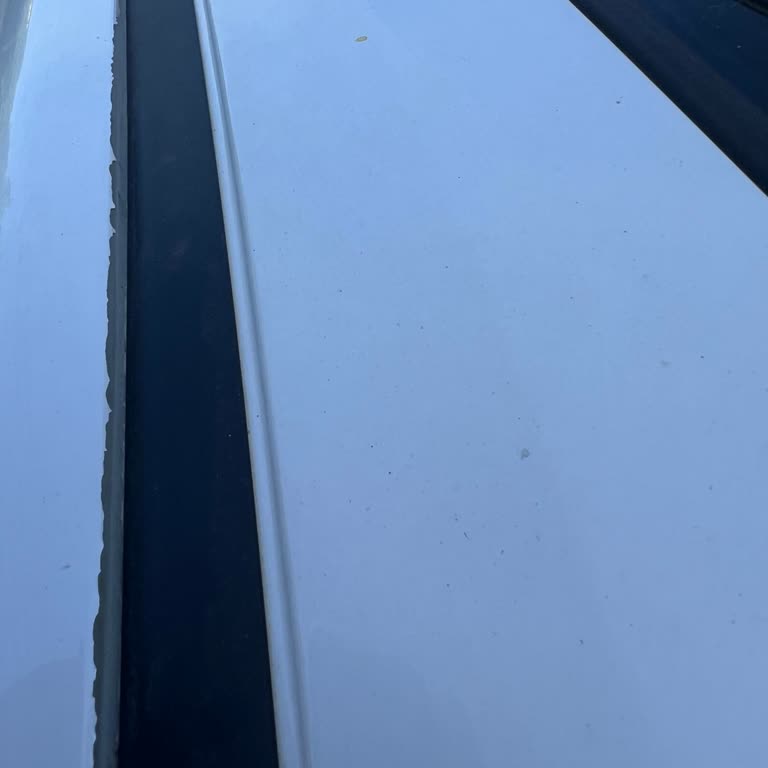Honda Civic Boya Soyulması