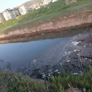 Aksaray Belediyesinin Yapmasını Talep Ediyoruz