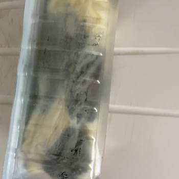 BİM Buzdolabında 1 Haftada Küflenmiş Peynir Hayal Kırıklığı