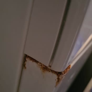 Bosch WGA142X1TR Model Çamaşır Makinesinin Kısa Sürede Paslanması