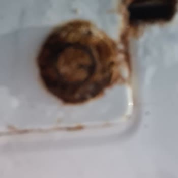 Bosch WGA142X1TR Model Çamaşır Makinesinin Kısa Sürede Paslanması