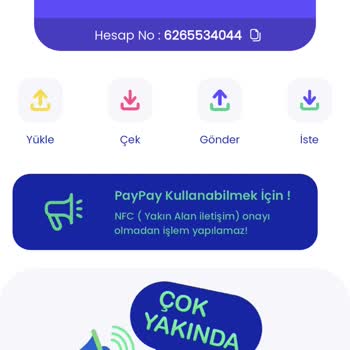 Paybull Güncelleme Geldi Hesabım Sıfırlandı