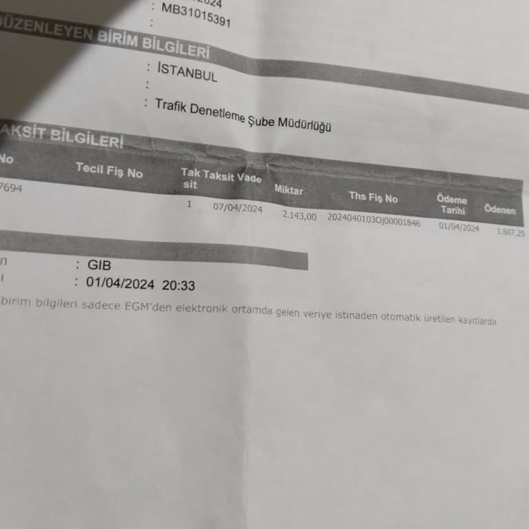 Martı Tag Cezasını Ödemiyor