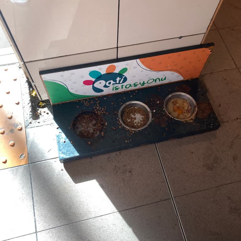 İbb - İstanbul Büyükşehir Belediyesi Mama Kapları Temizlensin