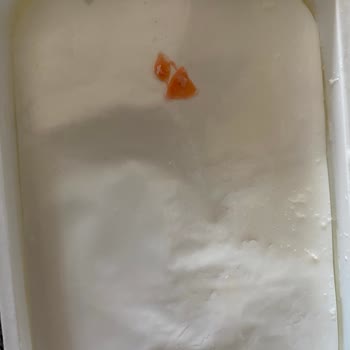 Pınar Et ve Süt Marketten Alınan Süzme Peynirde Beklenmedik Durum