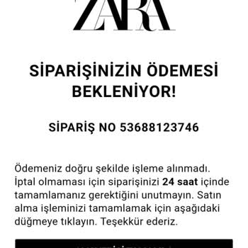 Zara App Payment Errors & Login Issues