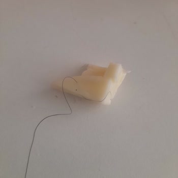 Tarabya Peynir Kalite Kontrolde Büyük Hata: Peynirde Şaşırtan Misafir