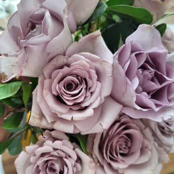 Çiçek Sepeti Solmuş Kötü Çiçek Teslimatı Yaptı