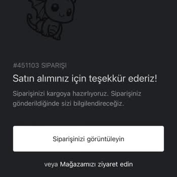 SpaceFeel Space Feel Siparişi Verdim Gelmedi