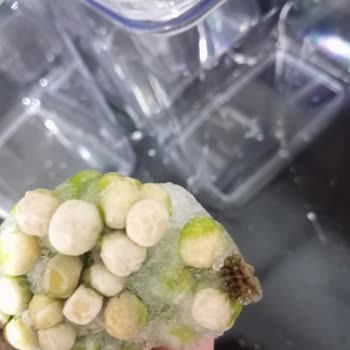 A101 Çokça Dondurulmuş Bezelye