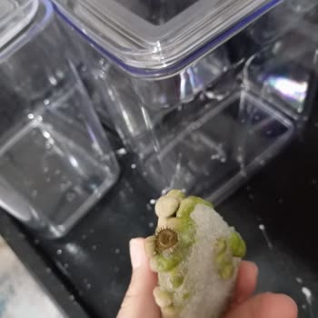 A101 Çokça Dondurulmuş Bezelye