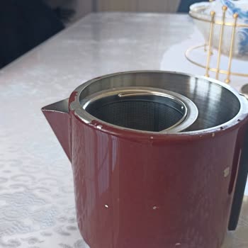 Vestel Kettle Boya Problemi Ve Servis Tepkisi