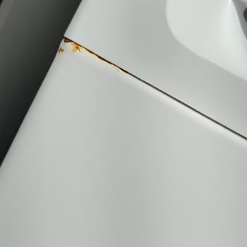 Profilo Çamaşır Makinesi Paslanma Sorunu