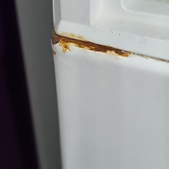 Profilo Çamaşır Makinesi Paslanma Sorunu