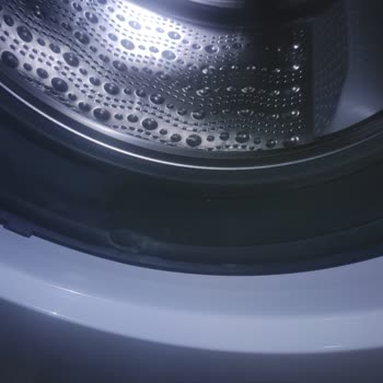 Bosch Wga25400tr Kapak Körüğü