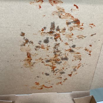 Yemeksepeti Sbarro Çiğ Pişmemiş Ürün Yolladı Asla Yardımcı Olmadı