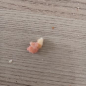 Pınar Et ve Süt Mangal Keyfi Sucukta Kıkırdak Ve Sinir Şikayeti