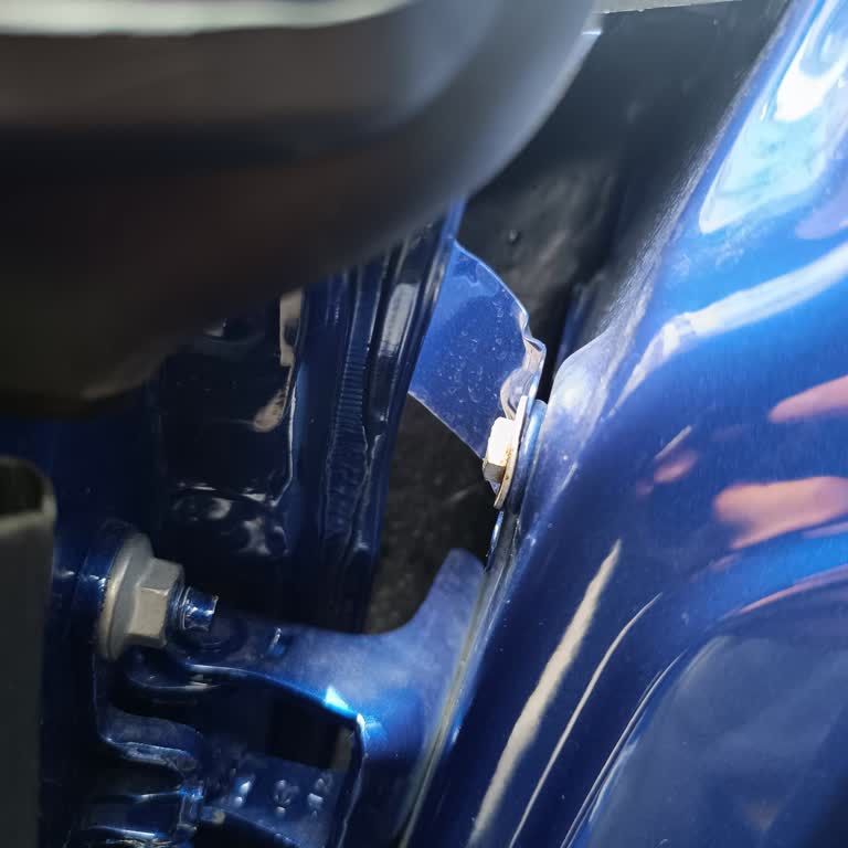 Renault Captur Kapı İçlerinde Pas Var