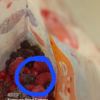 BİM Iffs Donuk Meyve'den Kıl Çıktı