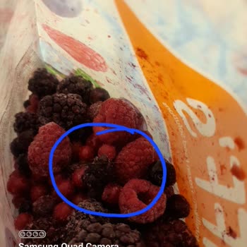 BİM Iffs Donuk Meyve'den Kıl Çıktı