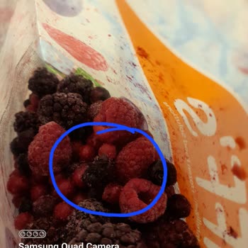 BİM Iffs Donuk Meyve'den Kıl Çıktı