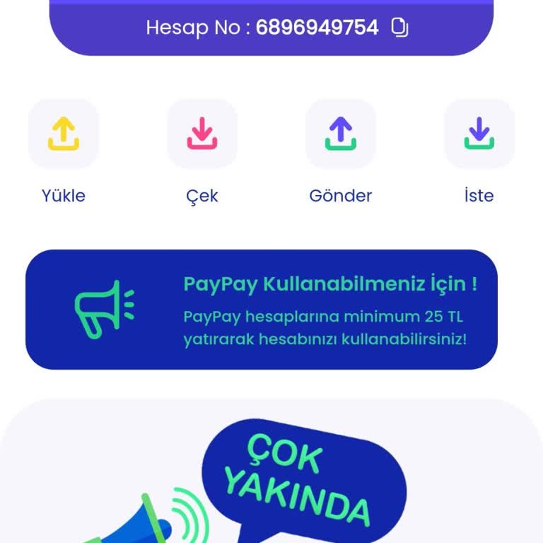 Paypay Yatırım Hizmetleri Para Yatırma Sorunu