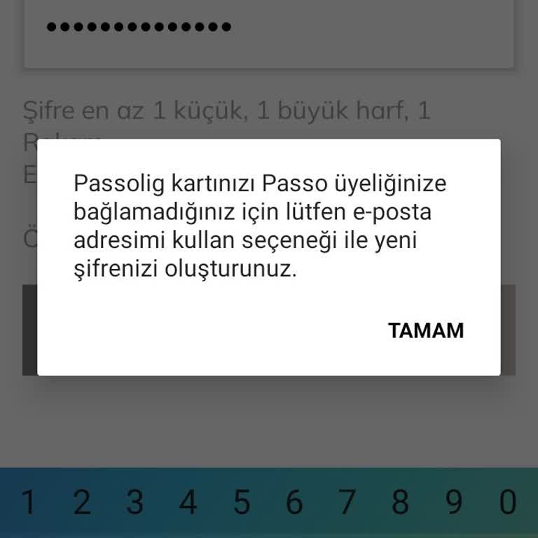 Passolig Giriş Yapamıyorum Üye Kaydolma Hatası