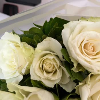 Çiçek Sepeti Bayat Kesilmiş Orantısız Güller. Ve Desteğinin Şekli