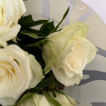 Çiçek Sepeti Bayat Kesilmiş Orantısız Güller. Ve Desteğinin Şekli