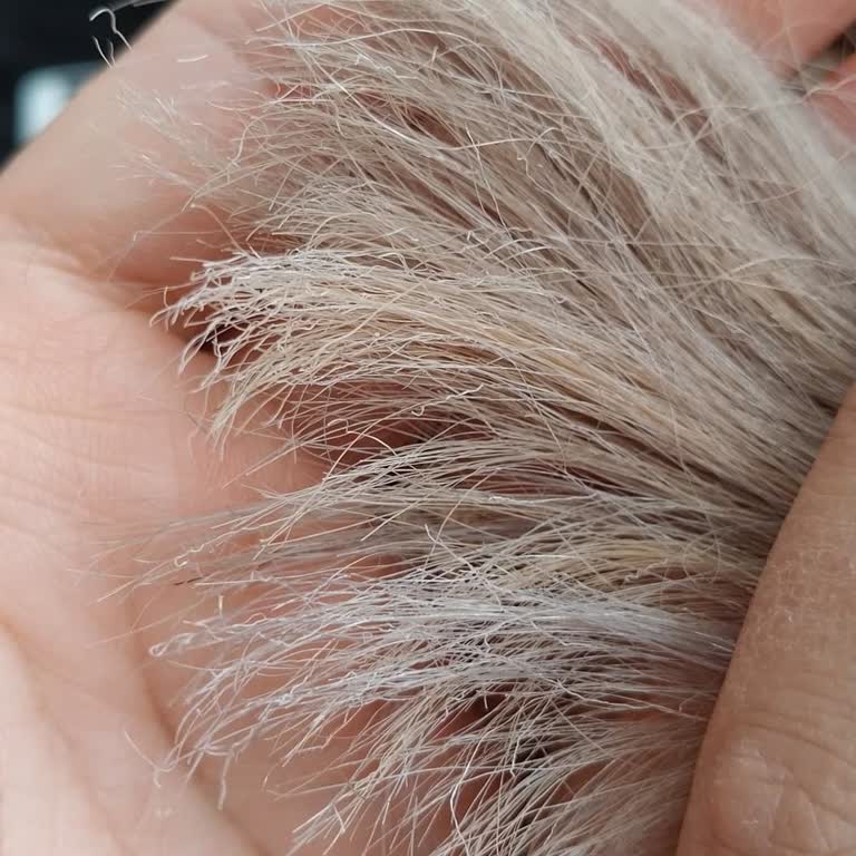 Aybüke Karnucu Hair Desinger Saçlarım Koptu