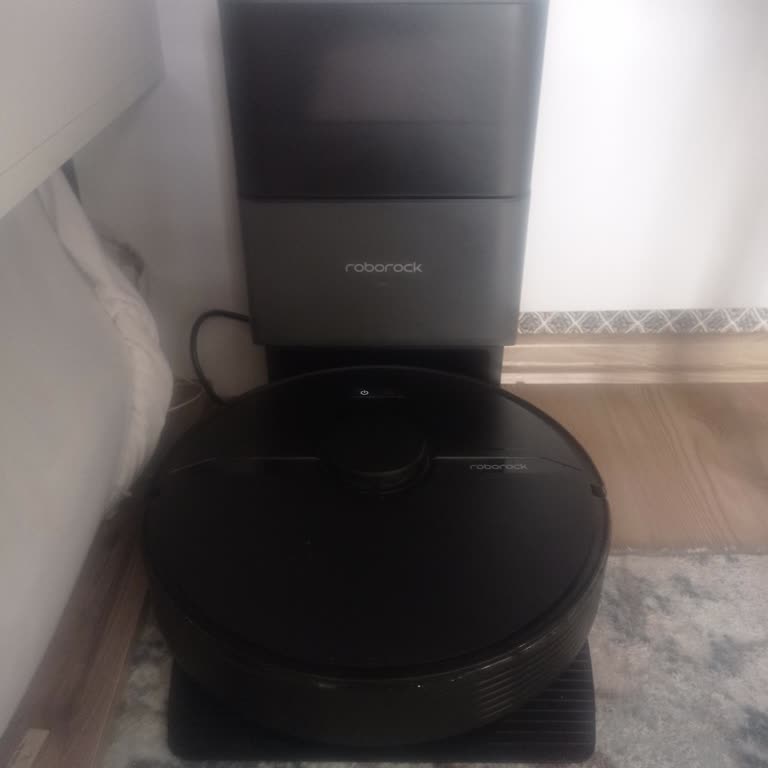 Roborock Robot Vacuum Dust Bin Won't Empty