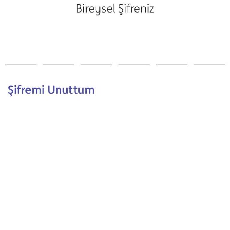 ING Tel No Güncelleme