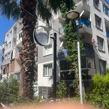 Coca-Cola Dağıtım Kamyonunun Dikkatsizliği