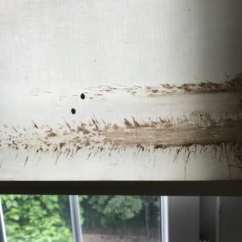 Üçay Mühendislik Karot Mezbeleliği Sorunu