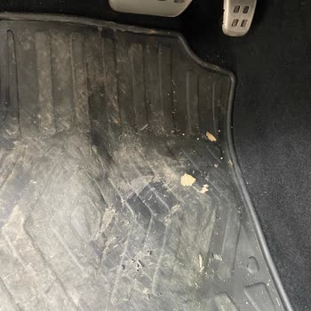 Renault 2024 Model Clio 5 Techno Esprit Alpine Aracımın3 Ayda Paspası Yırtıldı