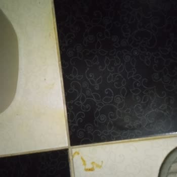 Detan Böcek İlacının Sarı Leke Yapması