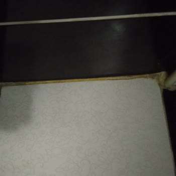 Detan Böcek İlacının Sarı Leke Yapması