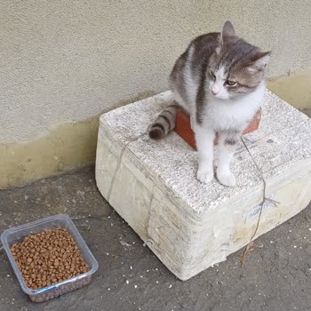 A101 Mantıksız Satış Politikası İle Müşteriyi Mağdur Ediyor