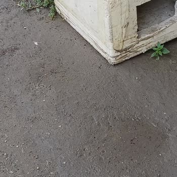 A101 Mantıksız Satış Politikası İle Müşteriyi Mağdur Ediyor