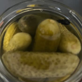 BİM Salatalık Turşusu Böcek