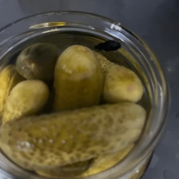 BİM Salatalık Turşusu Böcek