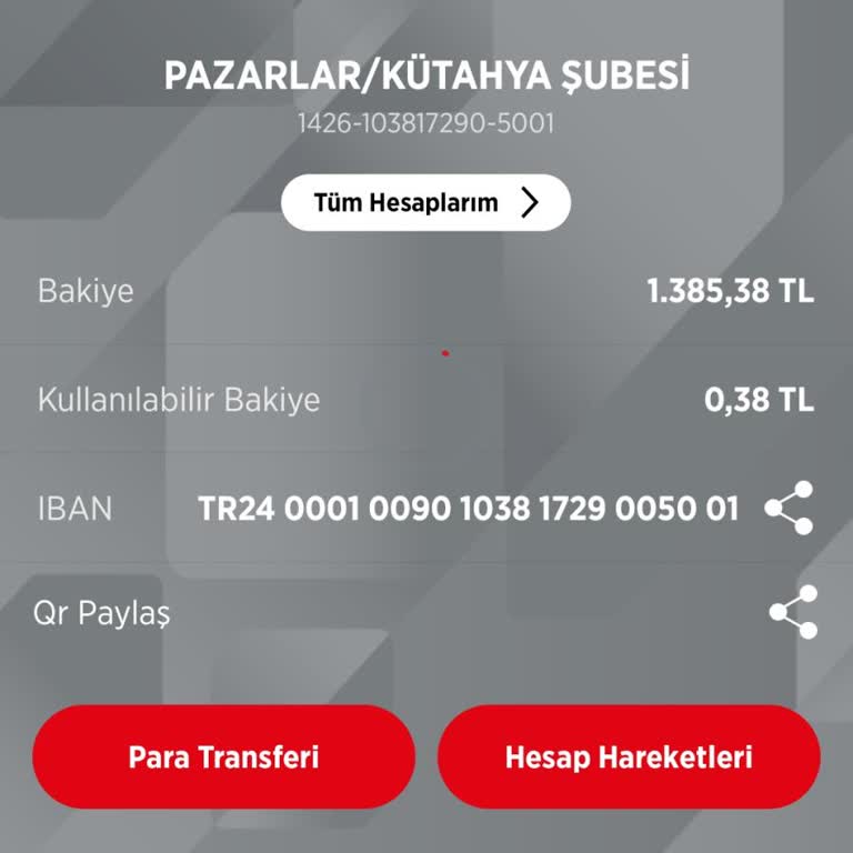 Ziraat Bankası Ziraat Bakiye Kullanımı
