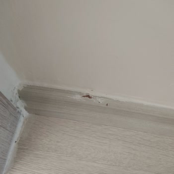 Floorpan Süpürgelikte Soyulma Oldu Çok Kalitesiz