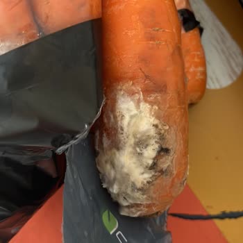 Migros Çürük Ürün Sorunu